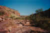 Chamberlain Gorge El Questro 23.JPG (221048 bytes)