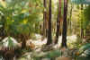 El Questro Rain forest near Zebedee springs.JPG (303568 bytes)