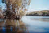 Jacks Waterhole.JPG (214052 bytes)